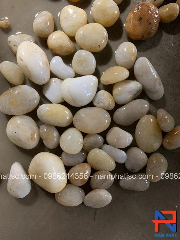 Sỏi cuội vàng trang trí sân vườn 