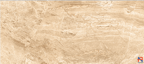 Gạch Ấn Độ Nhập Khẩu 60x120 TRACKS IVORY