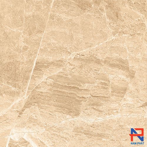 Gạch Nhập Khẩu Ấn Độ 60x60 TRACKS IVORY