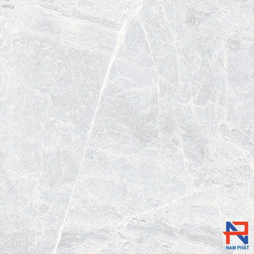 Gạch Nhập Khẩu Ấn Độ 60x60 TRACKS PLATA