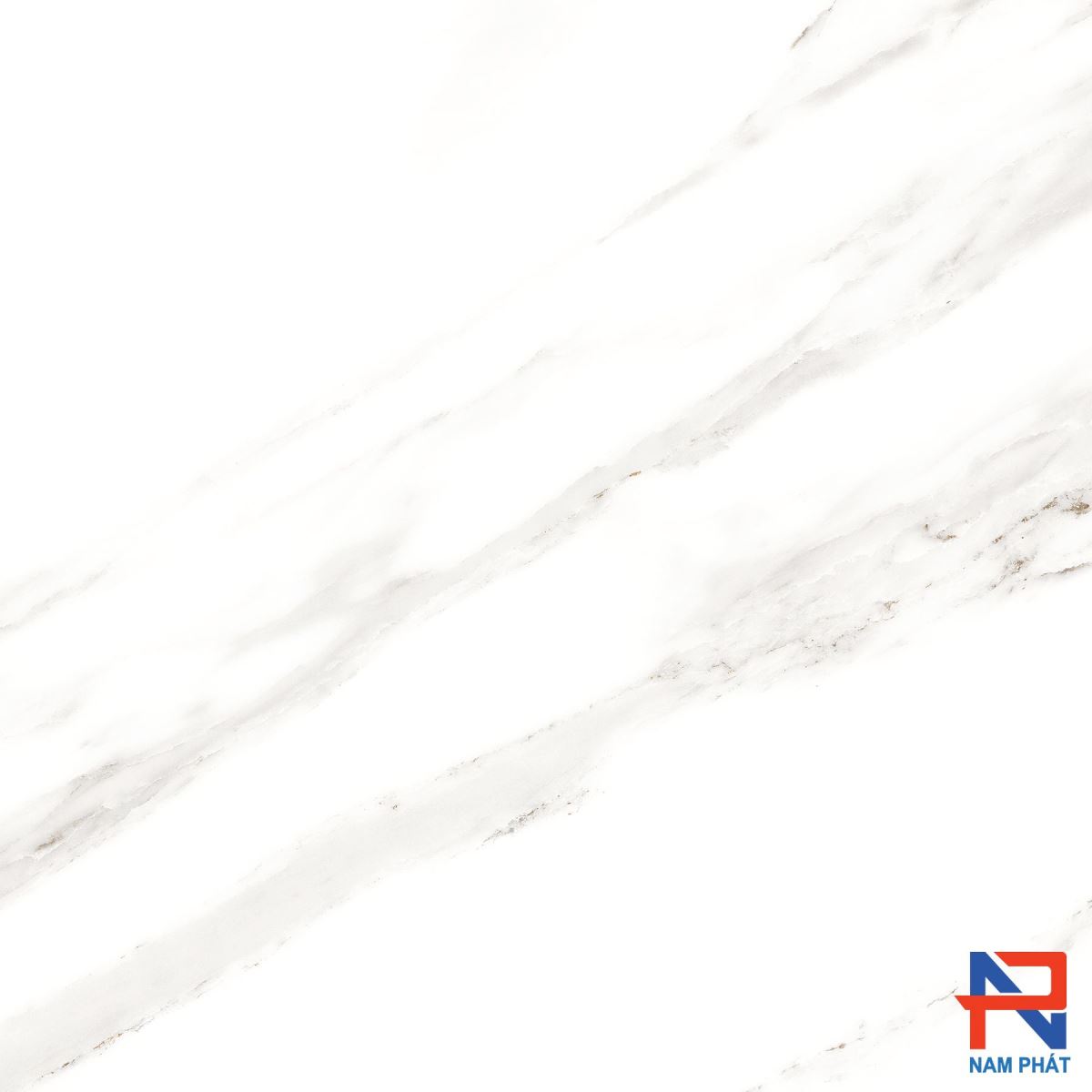 Gạch Ốp Lát Ấn Độ Nhập Khẩu 80x80 CALCUTTA WHITE