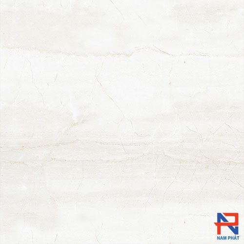 Gạch Ốp Lát Ấn Độ Nhập Khẩu 80x80 MARBELLA BIANCO