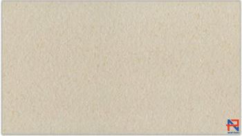 Gạch Ốp Tường  Bạch Mã 30x60 MGR36205