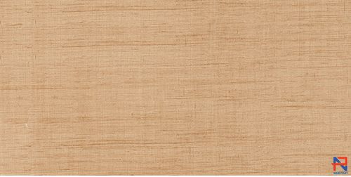 Gạch Ốp Lát 30x60 Prime NP09420