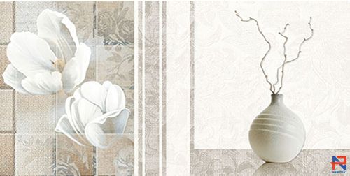 Gạch Ốp Lát 30x60 Prime NP09917