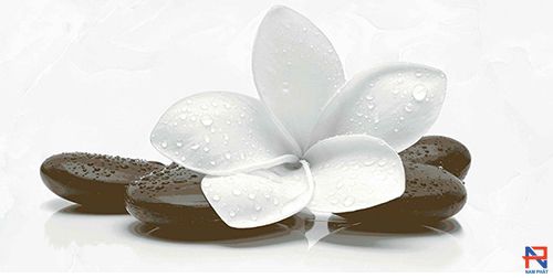 Gạch Ốp Lát Prime 30x60 NP09416