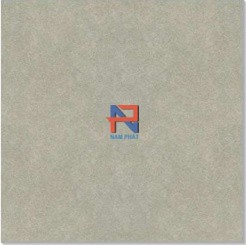 Gạch lát nền Taicera 60x60 cm NP68992S