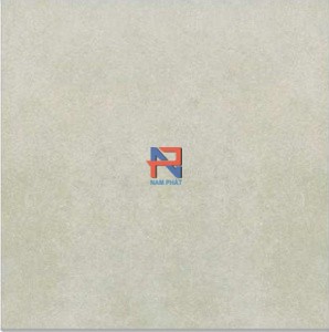 Gạch lát nền Taicera 60x60 cm NP68993S