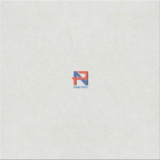 Gạch lát nền Taicera 60x60 cm NP68995S