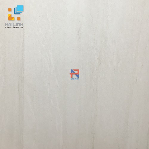 Gạch lát nền Taicera 60x60 cm NP6B095