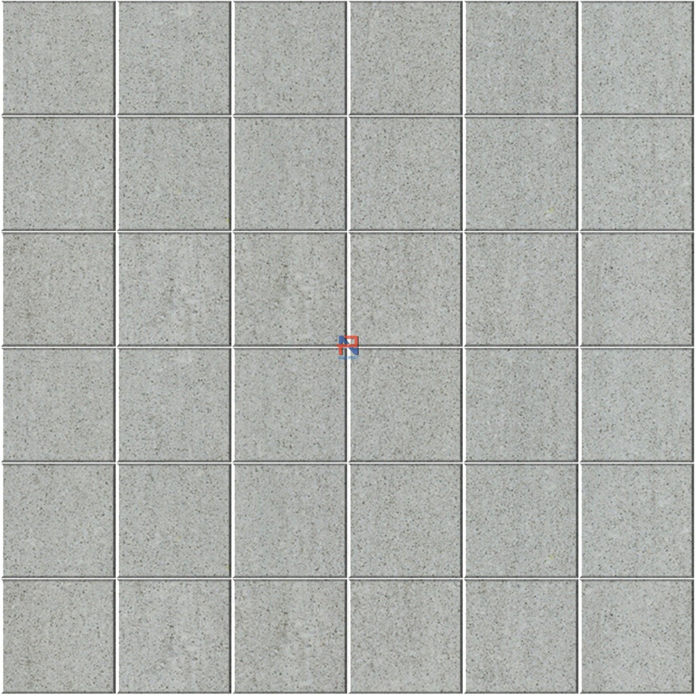 Gạch lát nền Taicera 60x60 cm NPMS4747-218