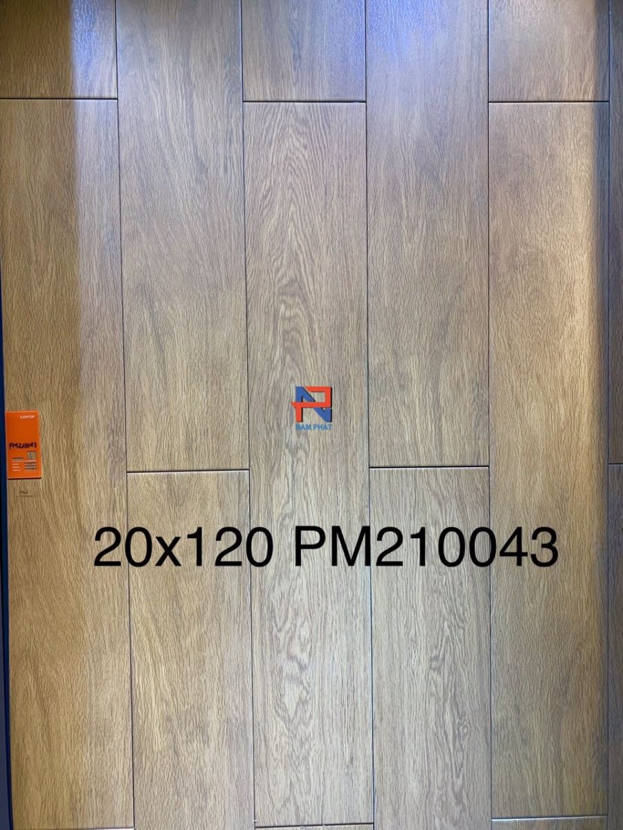 Gạch giả gỗ 20x120 cm N120VG022