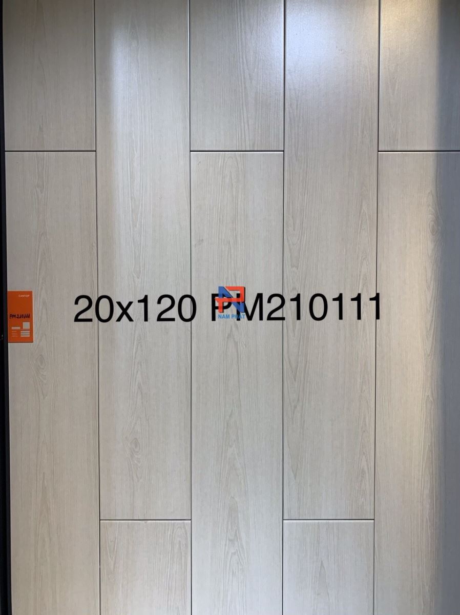 Gạch giả gỗ 20x120 cm N120VG023