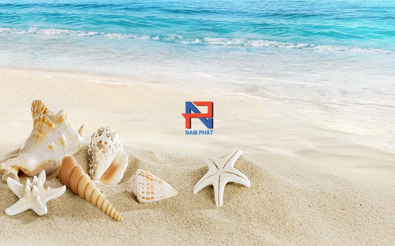 Sàn Gạch 3D NLS3D091
