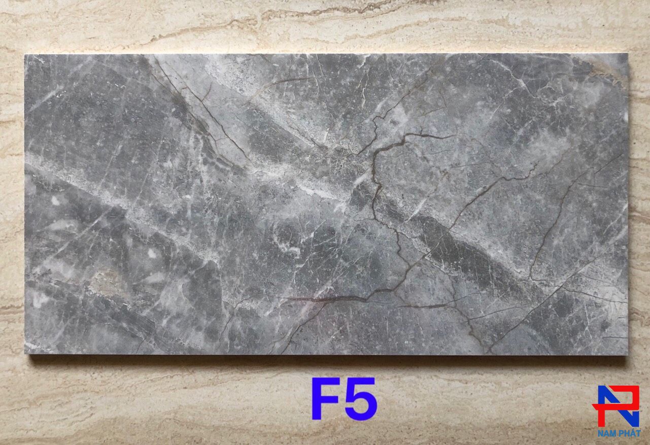 Gạch ốp tường nhà vệ sinh men bóng 30x60 - NPNT007