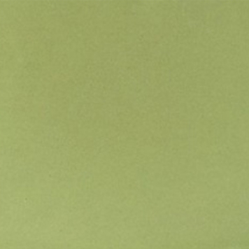 Gạch bông xi măng NPGBX005