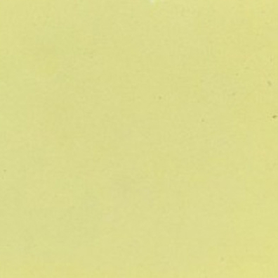 Gạch bông xi măng NPGBX010