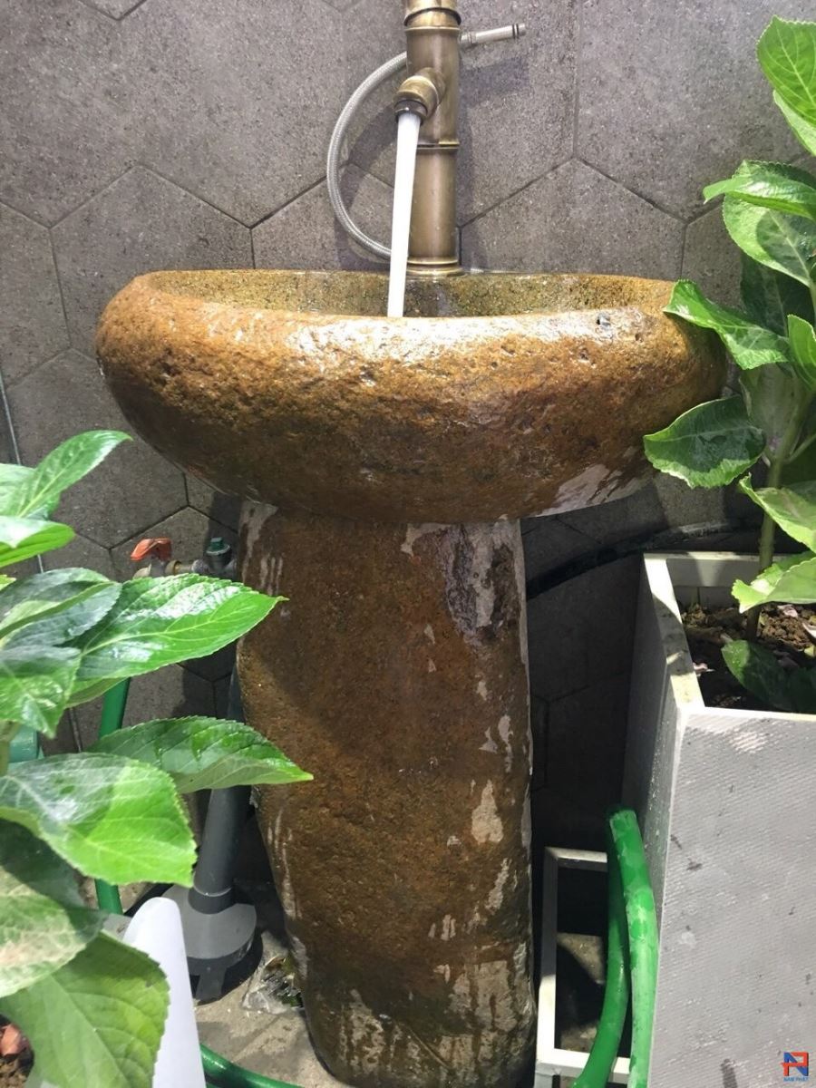 hình ảnh chậu đá cuội thực tế