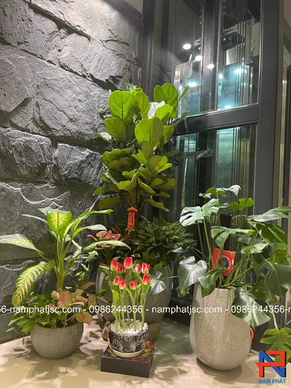 Đá slate bóc mặt trang trí cực đẹp 