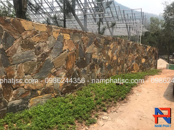 Đá rối vàng lai ốp tường bao 