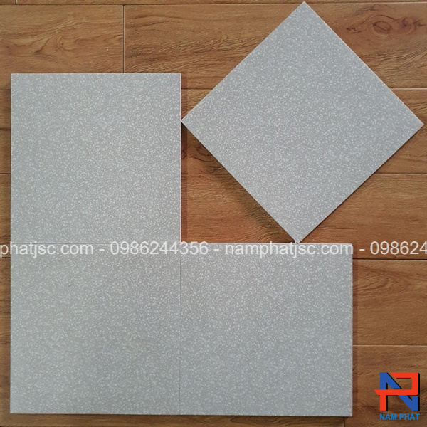 Gạch bông men 30x30 cm nhập khẩu GBNP3025
