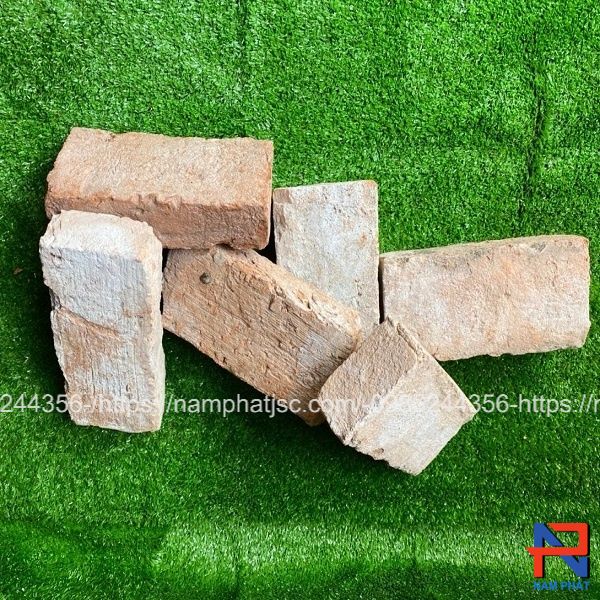 Gạch cổ Sài Gòn nguyên viên 