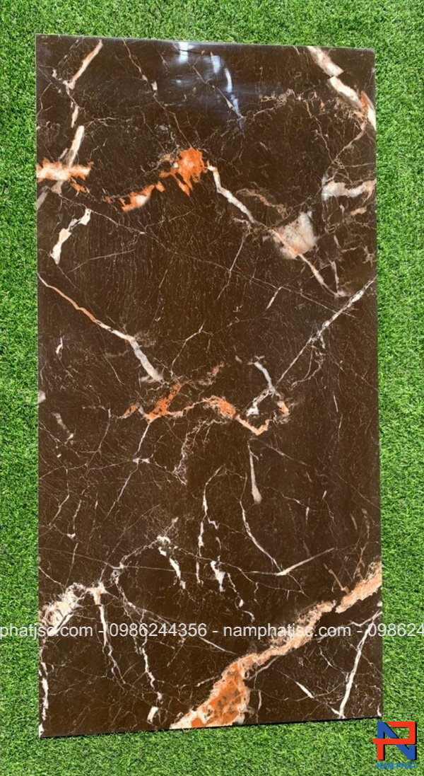 Gạch Ấn Độ nhập khẩu 60x120 cm mã NPVA6058