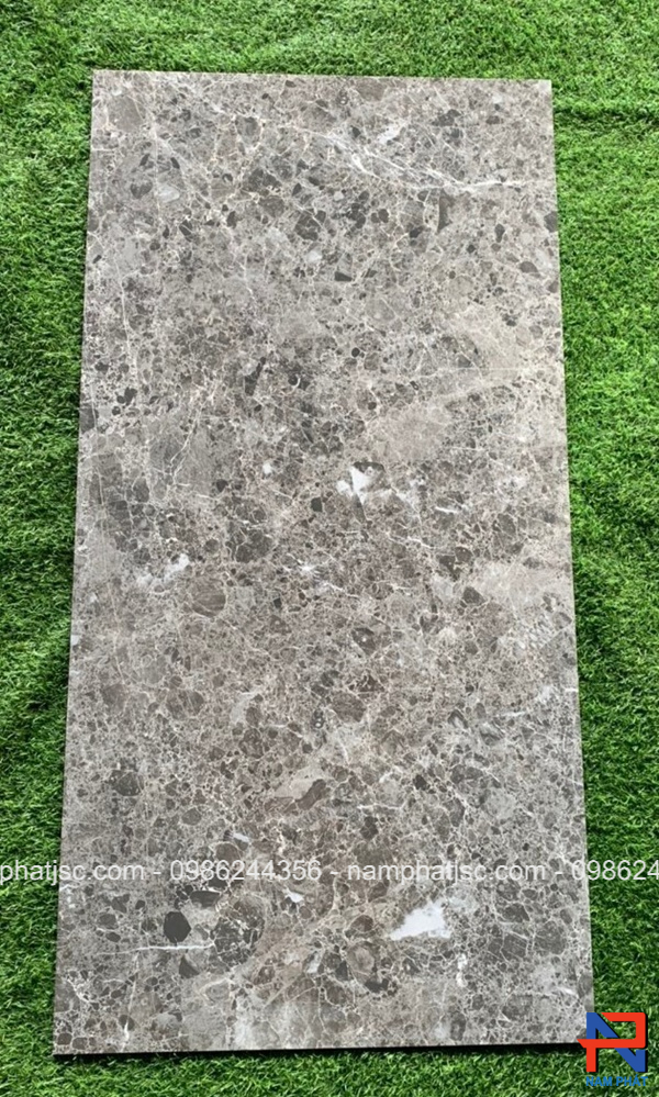 Gạch Ấn Độ men bóng 60x120 cm mã NPVA6084