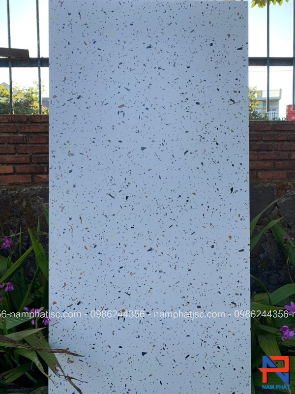 Gạch Ấn Độ nhập khẩu 60x120 cm mã NPVA6007