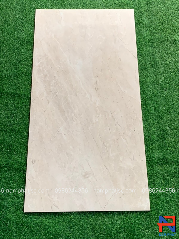Gạch Ấn Độ nhập khẩu 60x120 cm mã NPVA6019