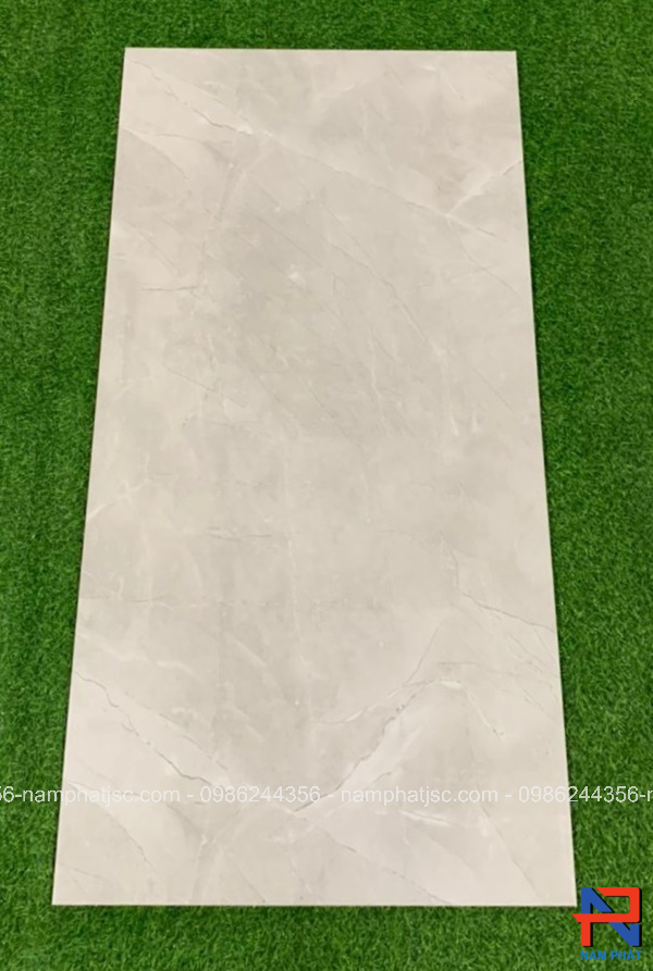 Gạch Ấn Độ nhập khẩu 60x120 cm mã NPVA6031