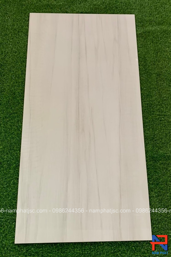 Gạch Ấn Độ nhập khẩu 60x120 cm mã NPVA6039