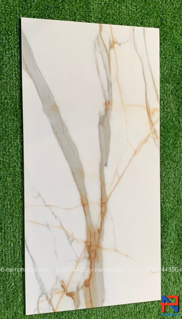 Gạch Ấn Độ nhập khẩu 60x120 cm mã NPVA6040