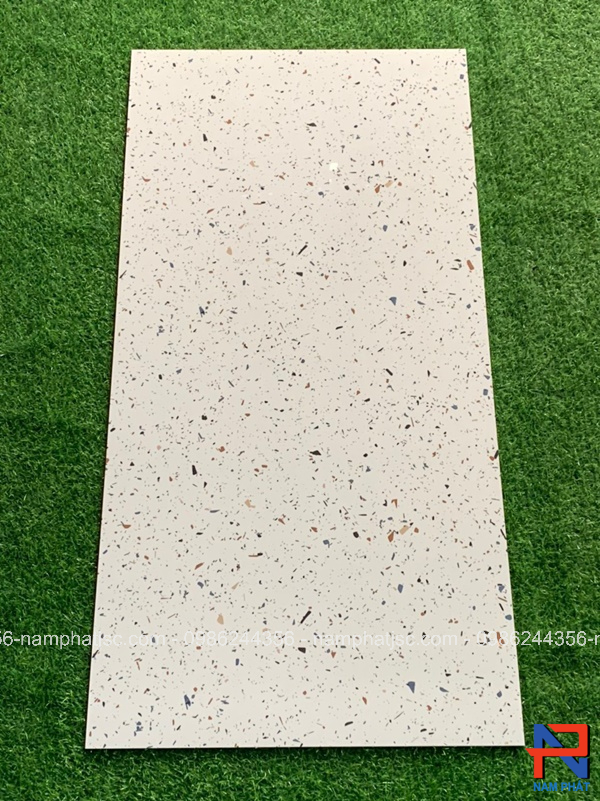 Gạch Ấn Độ nhập khẩu 60x120 cm mã NPVA6041