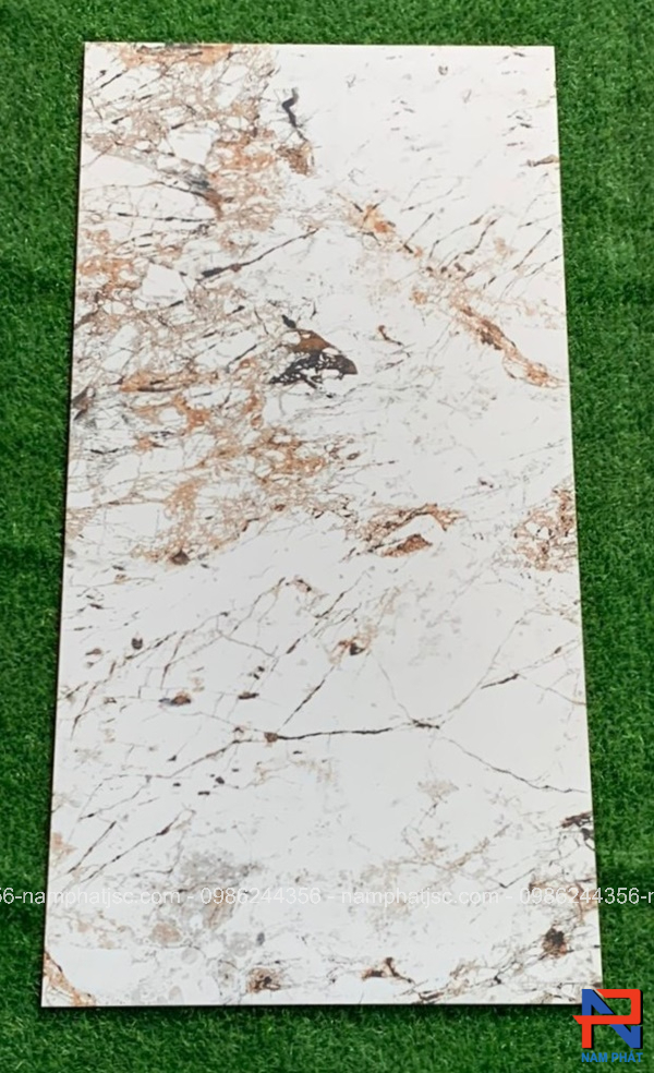 Gạch Ấn Độ nhập khẩu 60x120 cm mã NPVA6045