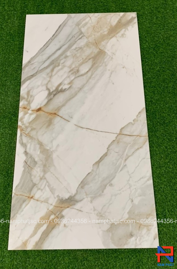 Gạch Ấn Độ nhập khẩu 60x120 cm mã NPVA6046