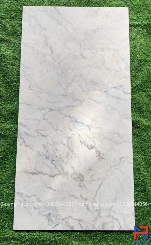 Gạch Ấn Độ nhập khẩu 60x120 cm mã NPVA6047