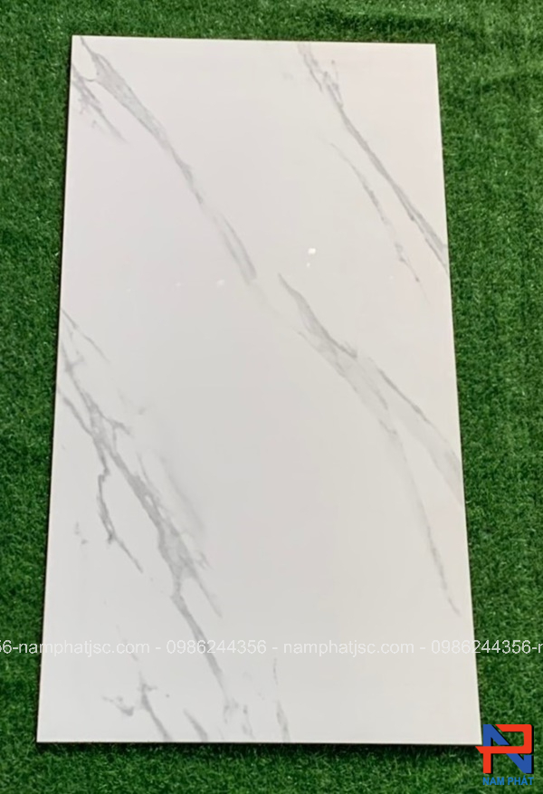 Gạch Ấn Độ nhập khẩu 60x120 cm mã NPVA6048