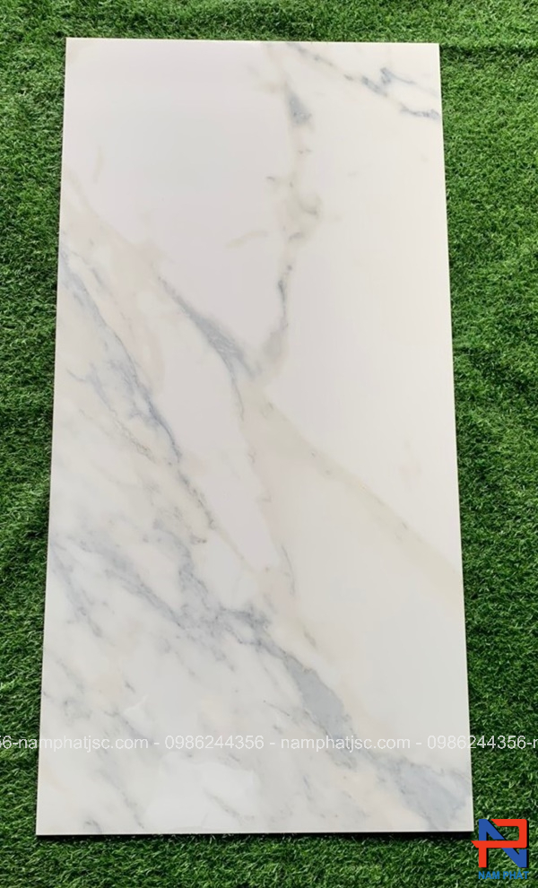 Gạch Ấn Độ nhập khẩu 60x120 cm mã NPVA6049