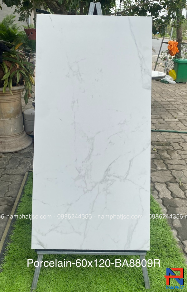 Gạch Ấn Độ nhập khẩu 600x1200 mm mã NPBA8809R